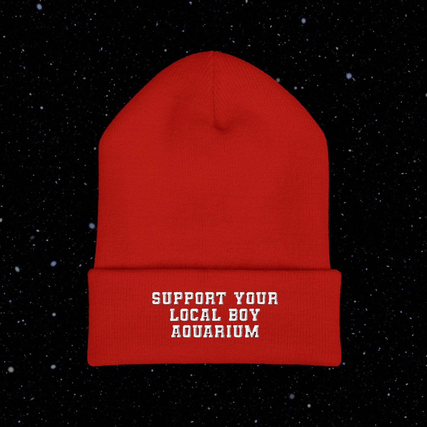 Support Your Local Boy Aquarium Toque (Embroidery)