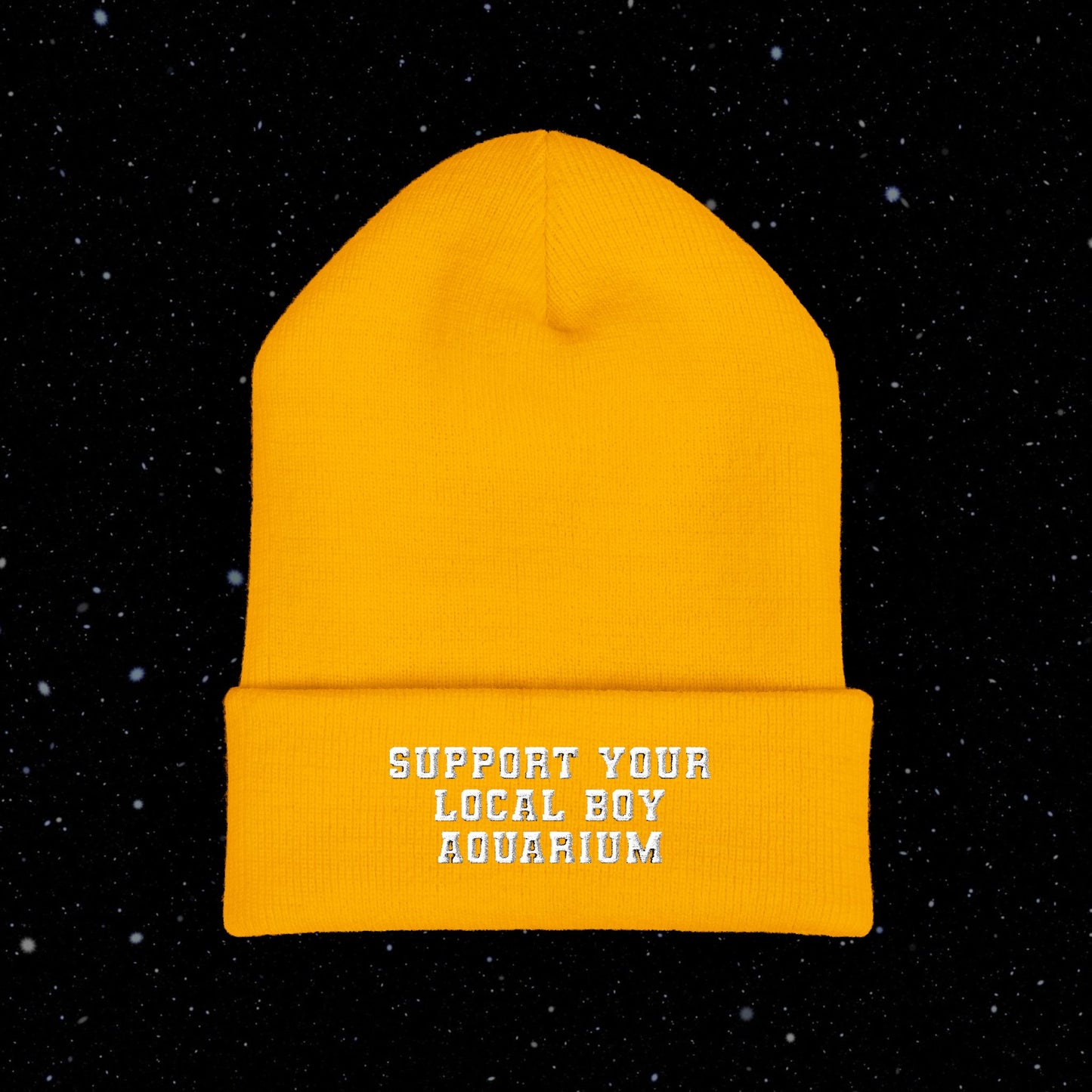 Support Your Local Boy Aquarium Toque (Embroidery)