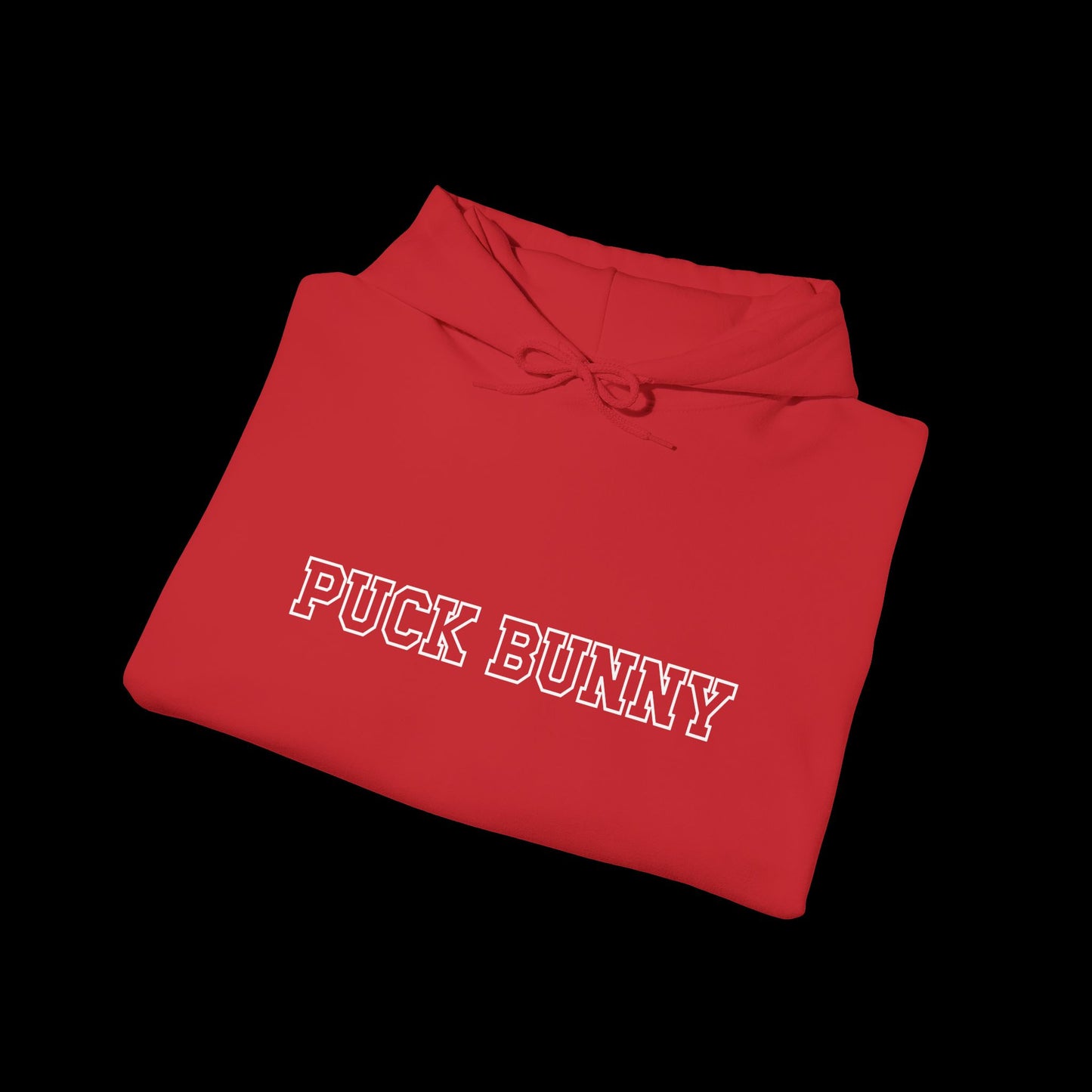 PUCK BUNNY (puck on back) Unisex Hoodie